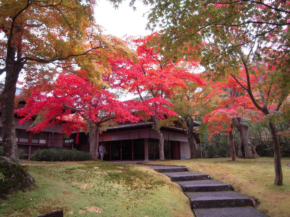 Tkp Lectore Hakone Gora Kültér fotó