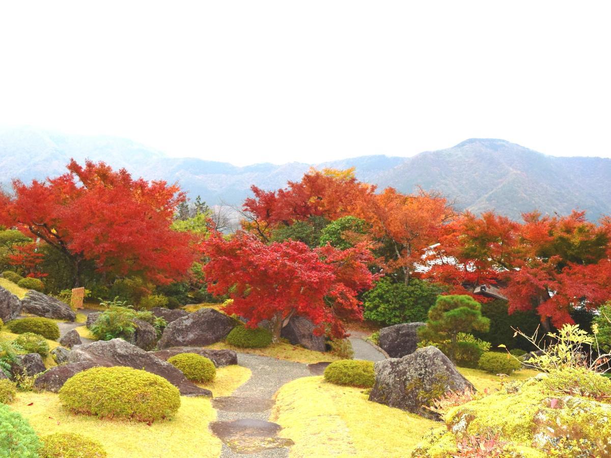 Tkp Lectore Hakone Gora Kültér fotó