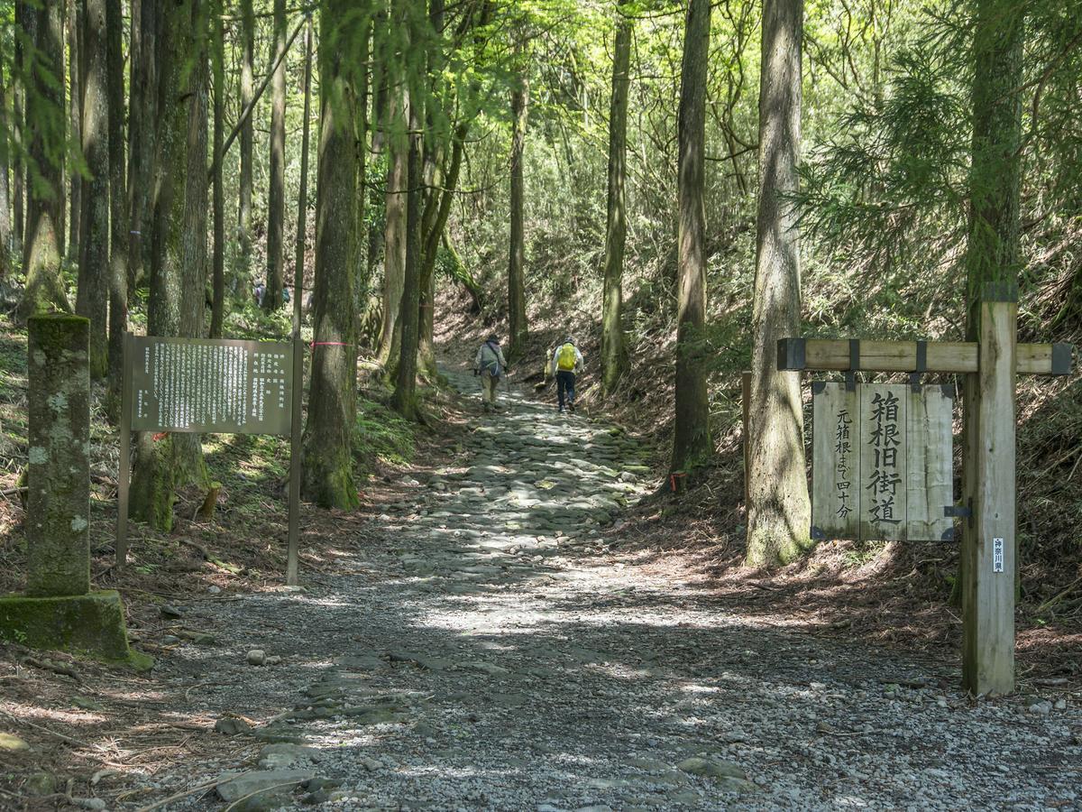 Tkp Lectore Hakone Gora Kültér fotó